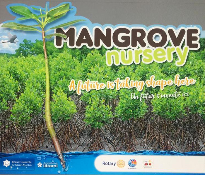 Rotary Mangrove Nursery